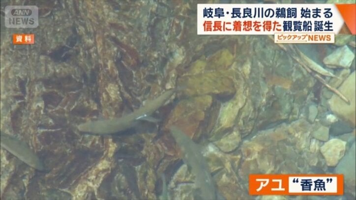 アユ