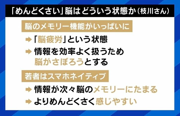 【写真・画像】“風呂キャンセル界隈”小学生の頃から苦手な現役アイドル「とにかくドライヤーが面倒くさい、強敵だ」 “面倒くさい”状態とは?脳科学者が説明 6枚目