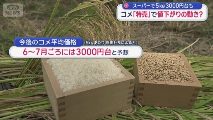 6～7月ごろには3000円台と予想