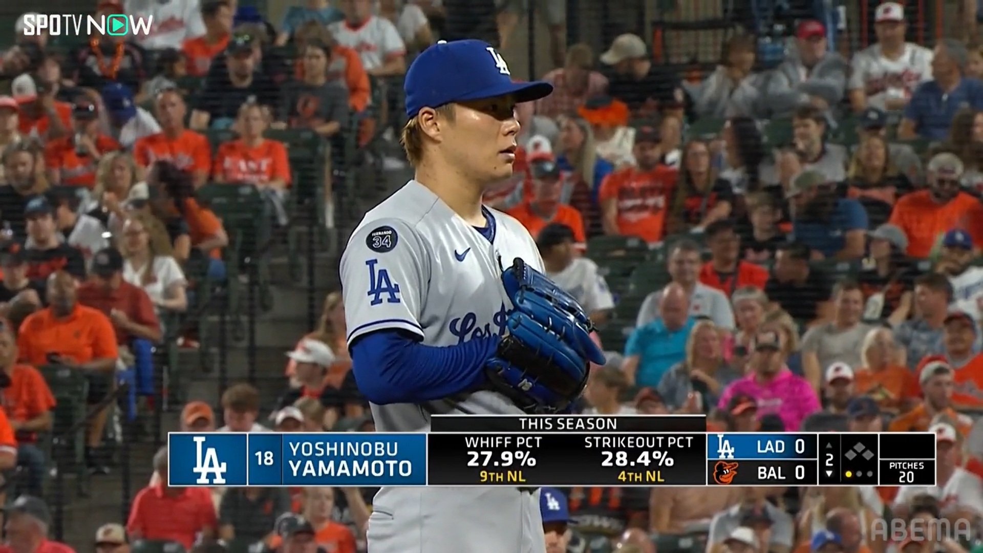 【写真・画像】　2枚目