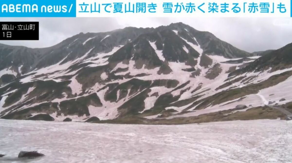 立山で夏山開き 雪が赤く染まる「赤雪」も | 国内 | ABEMA TIMES