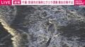 千葉・匝瑳市の海岸にクジラ漂着 上空からの様子