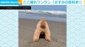 ここ掘れワンワン！ハマグリを掘り当てるトイプードルに「サンバイザーが似合いすぎて頭に入ってこなかったw」の声