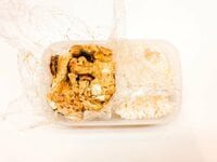 ホラン千秋『お弁当。』