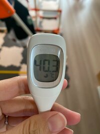 豊崎由里絵『我が家に現れる小鳥さん』