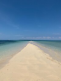 渡辺直美『ご無沙汰です!』