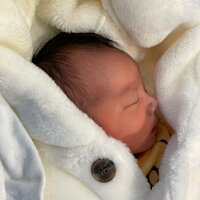 だいたひかる『ぐったり』