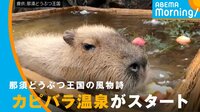 風物詩“カピバラ露天風呂”始まる