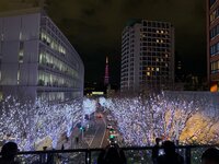 桃『両親と彼、初対面の夜』