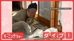 叱られても気にしニャイ　新聞にダイブするネコちゃん　頭から突っ込むのはなぜ？