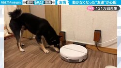 “友達”のロボット掃除機が動かなくなり心配する黒柴 愛情あふれる“必死の行動”に「可愛すぎて涙出た」と130万回再生