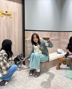  花田虎上の妻、娘たちと犬カフェ訪問を報告「チワワのかわいさが爆発」 