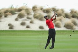 王者はいまだ雌伏期間　タイガー・ウッズ、完全復活の日は訪れるか？