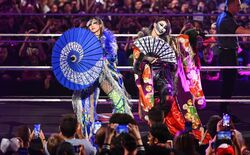 奇抜な衣装とメイクで世界的人気の日本人女子タッグ、フランスで異例の大チャントに会場騒然「こんなの初めて聞いた」ファン驚き