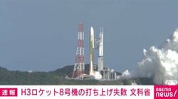 H3ロケット8号機の打ち上げ失敗 文科省