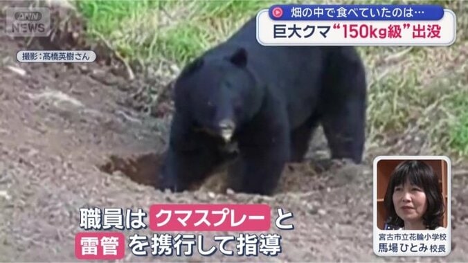 役割分担で…