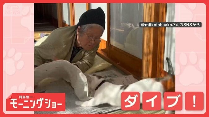 叱られても気にしニャイ　新聞にダイブするネコちゃん　頭から突っ込むのはなぜ？ 1枚目