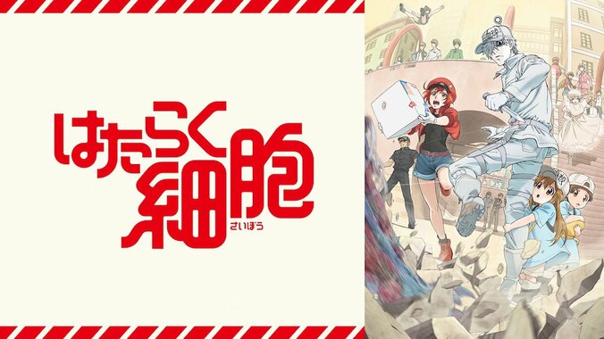 “勤労感謝の日”アニメをAbemaTVで配信「はたらく細胞」ほか 2枚目