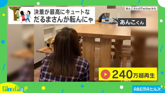 「寿命5年くらい伸びそう」子ネコの“だるまさんが転んだ”にネット民悶絶！ 飼い主「目がハンターモードだった」 1枚目