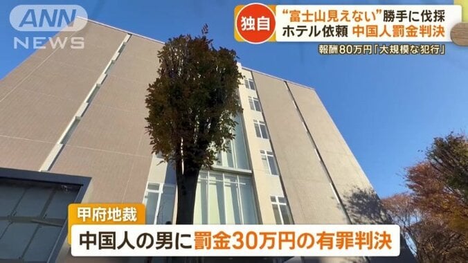 罰金30万円の有罪判決