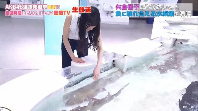 NMB48矢倉楓子、可愛すぎる素顔を披露　総選挙は「もう出たくないと思っていた」 15枚目