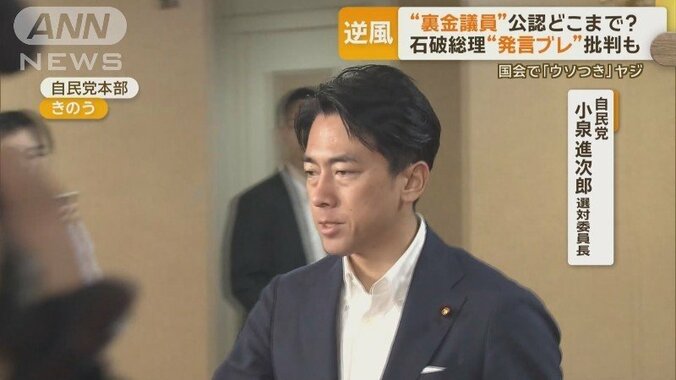 小泉進次郎選対委員長