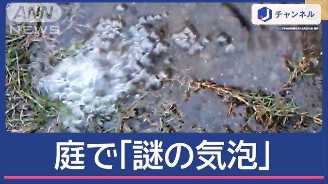 「芝生がボコンボコン」都内住宅で湧き出る“謎の水と泡”リニアトンネル掘進を中断 1枚目