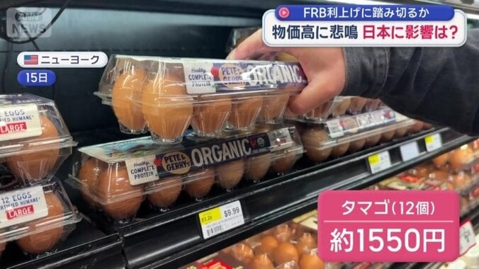 12個入りのタマゴは約1550円