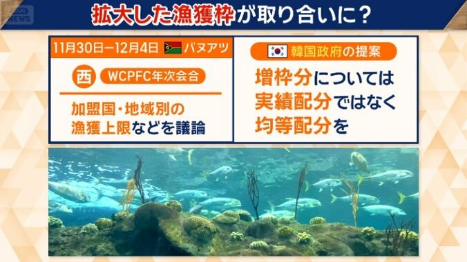 漁獲上限などを議論するが…