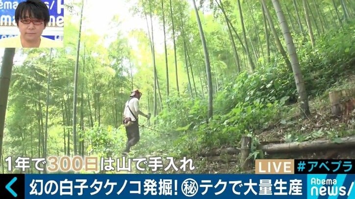 カブトムシやコケを売って年間3000万円の売上も…日本の山が持つ意外なポテンシャル