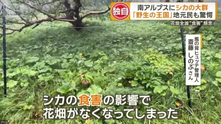 かつて一面の花畑だった場所