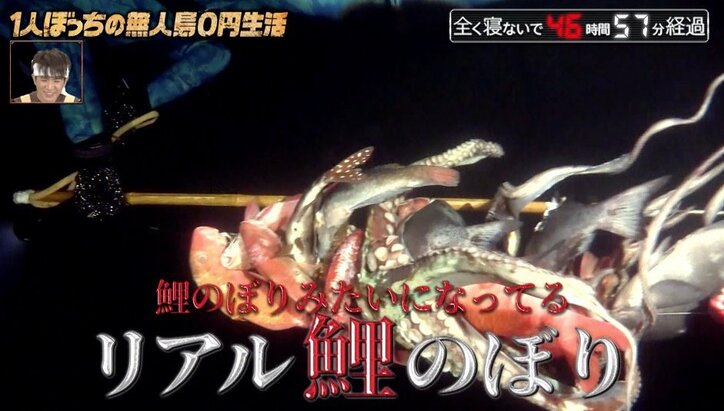 「百鬼夜行だ…」ナスDの“リアル鯉のぼり”にSNSで反響続出! 不眠不休の素潜り漁で50匹を水揚げ