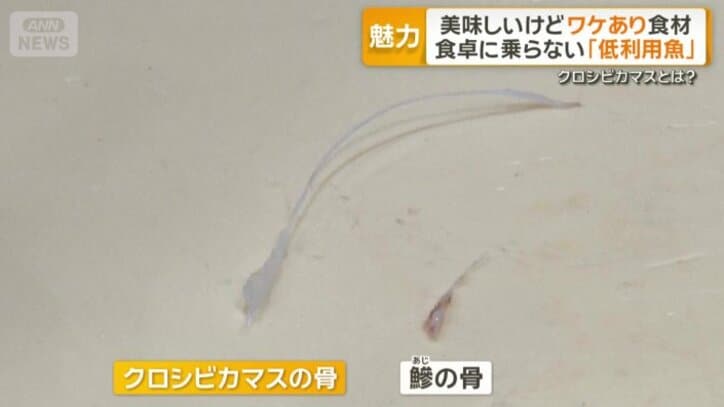 複雑な形をした骨