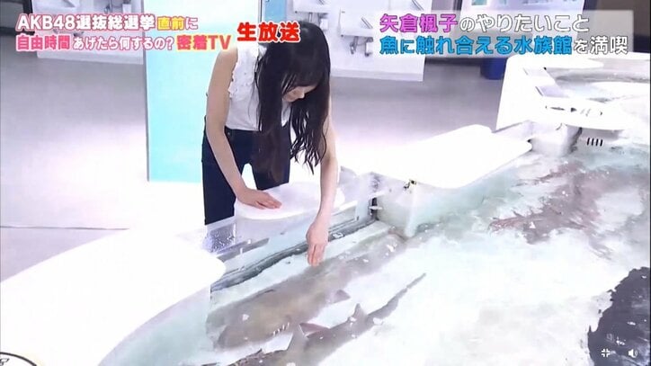 NMB48矢倉楓子、可愛すぎる素顔を披露　総選挙は「もう出たくないと思っていた」