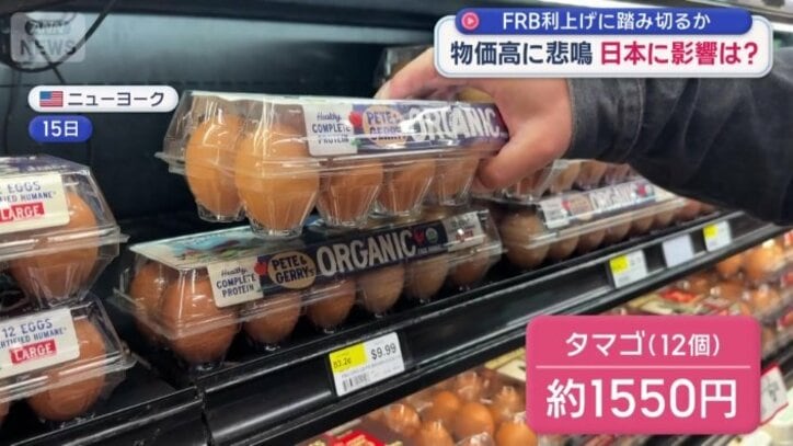 12個入りのタマゴは約1550円