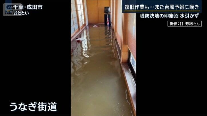 うなぎ街道