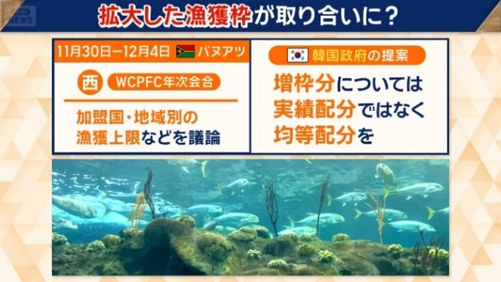 漁獲上限などを議論するが…