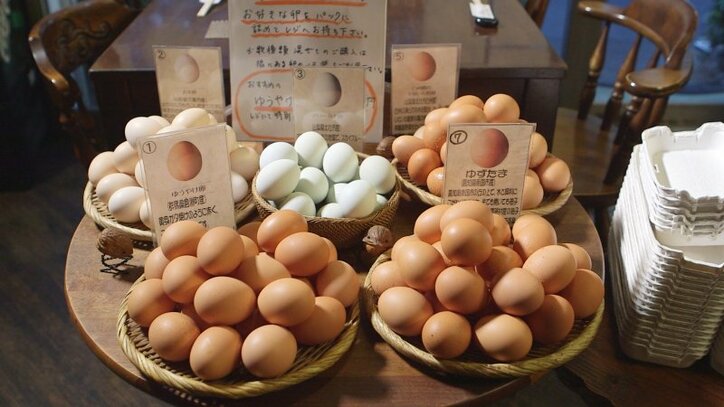 『今日から俺は!!』&『相棒』の俳優が真剣勝負! がっつき男子Season1