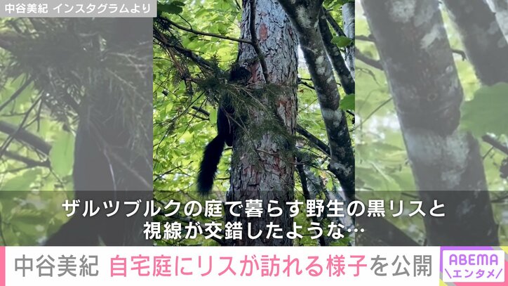 中谷美紀 Instagramより