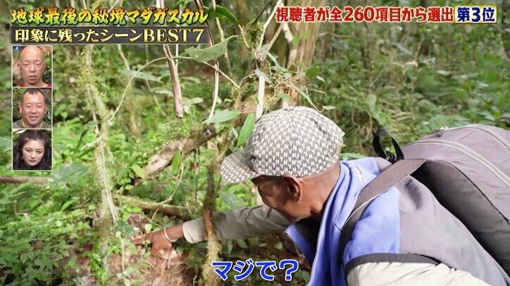 “指先に乗る世界最小カメレオン”世界初のスクープ映像に成功！ ナスDが撮影クルーと熱い抱擁「素晴らしい映像」学者感嘆