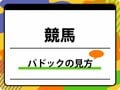 【パドックの見方】馬体の張り・歩様・発汗をチェック! プロの観察ルール