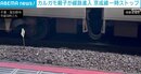 駅の線路にカルガモの親子 10分間電車が運転をストップ 千葉県習志野市