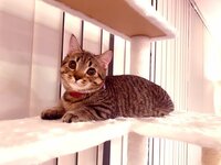 藤原紀香『徒然なるままに』