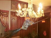 デヴィ夫人『ハロウィンの飾りつけ♪』