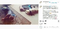 「もう仰向けがキツくなってきました」 第2子妊娠中の滝川クリステル、愛犬との“最新ショット”が話題