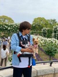 野呂佳代『確かに、現実問題。』