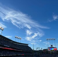 Seiko Darvish『きっとね』