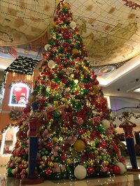 175R SHOGO『違う生活。』