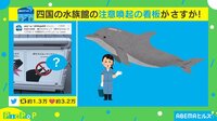 四国水族館の注意喚起が話題