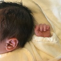 ぺこ『7/11/2018』